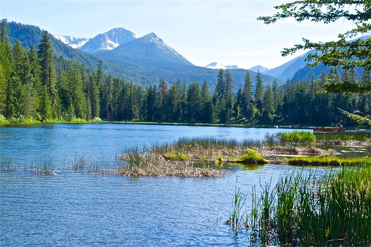 Blackpine Lake Trail is a Hidden Treasure