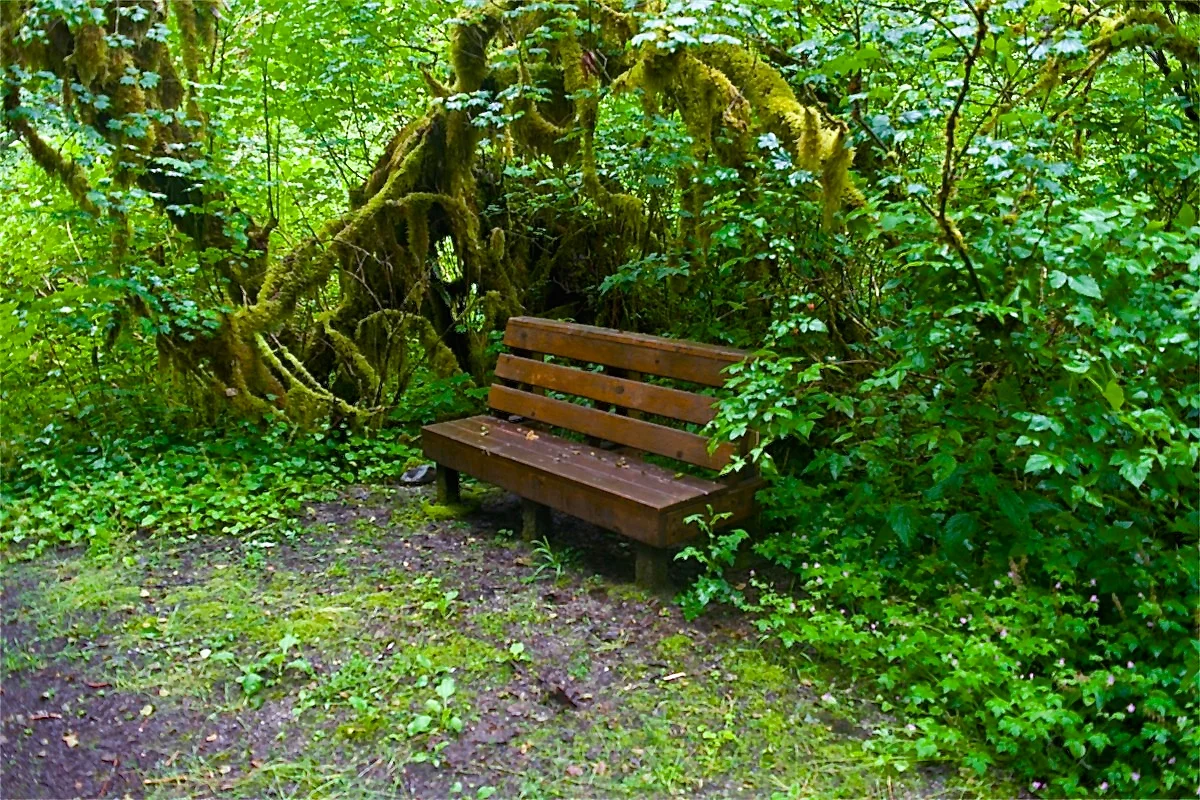 DSC_0841.JPG
