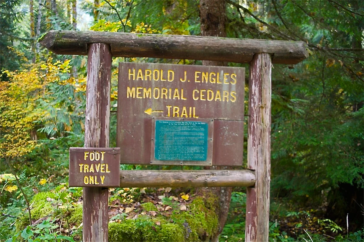 DSC_1795.JPG