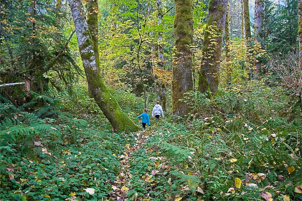 DSC_1800.JPG