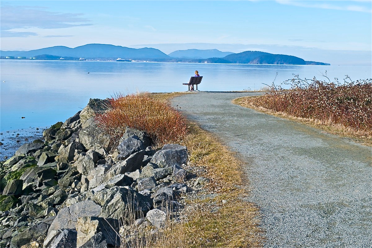Padilla Bay Scenic Trail