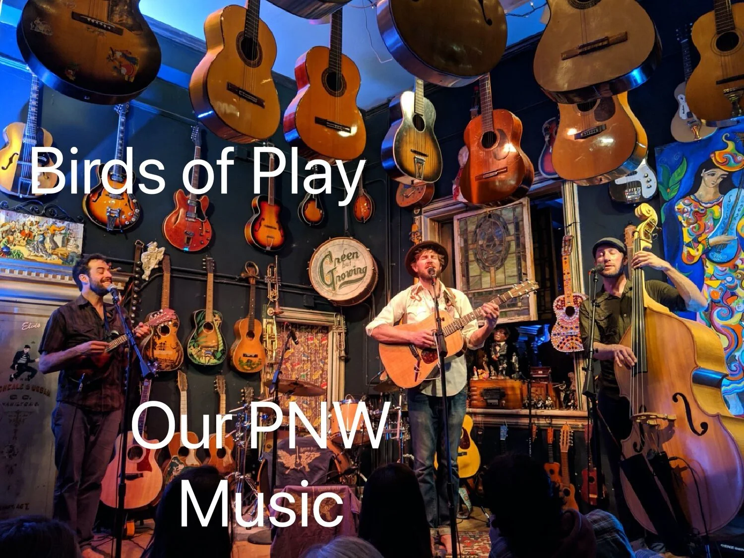 Birds of Play - Just Visiting Episode