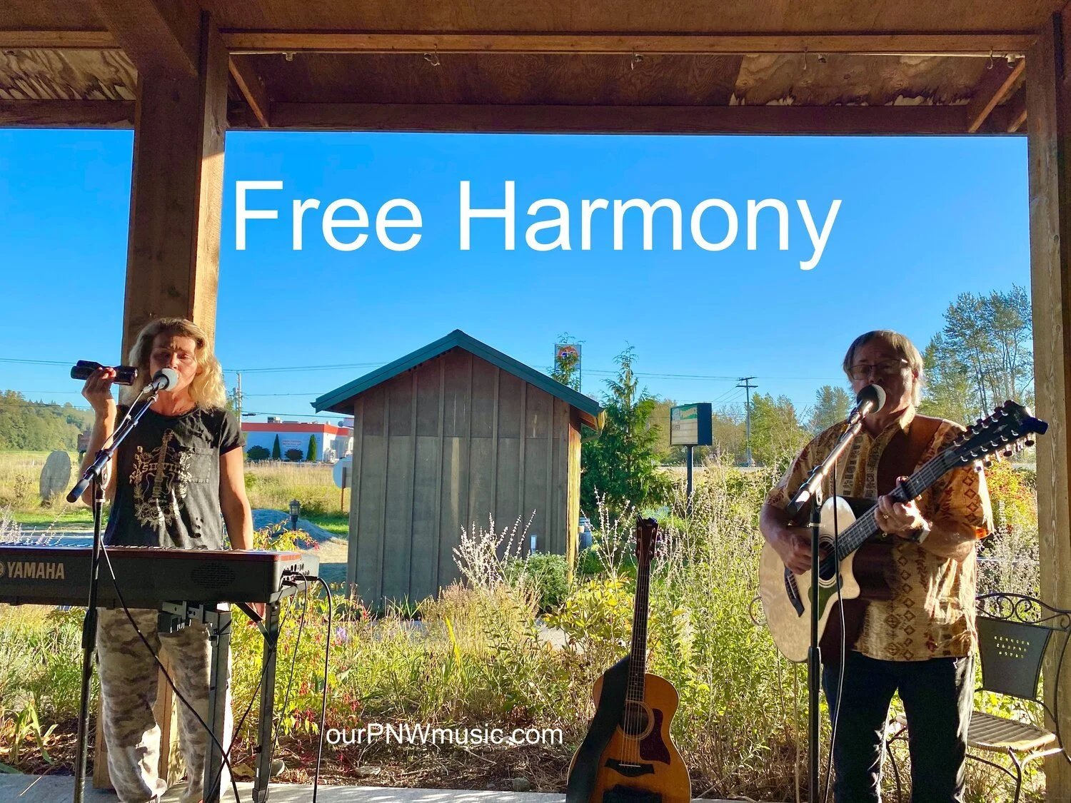 Free Harmony