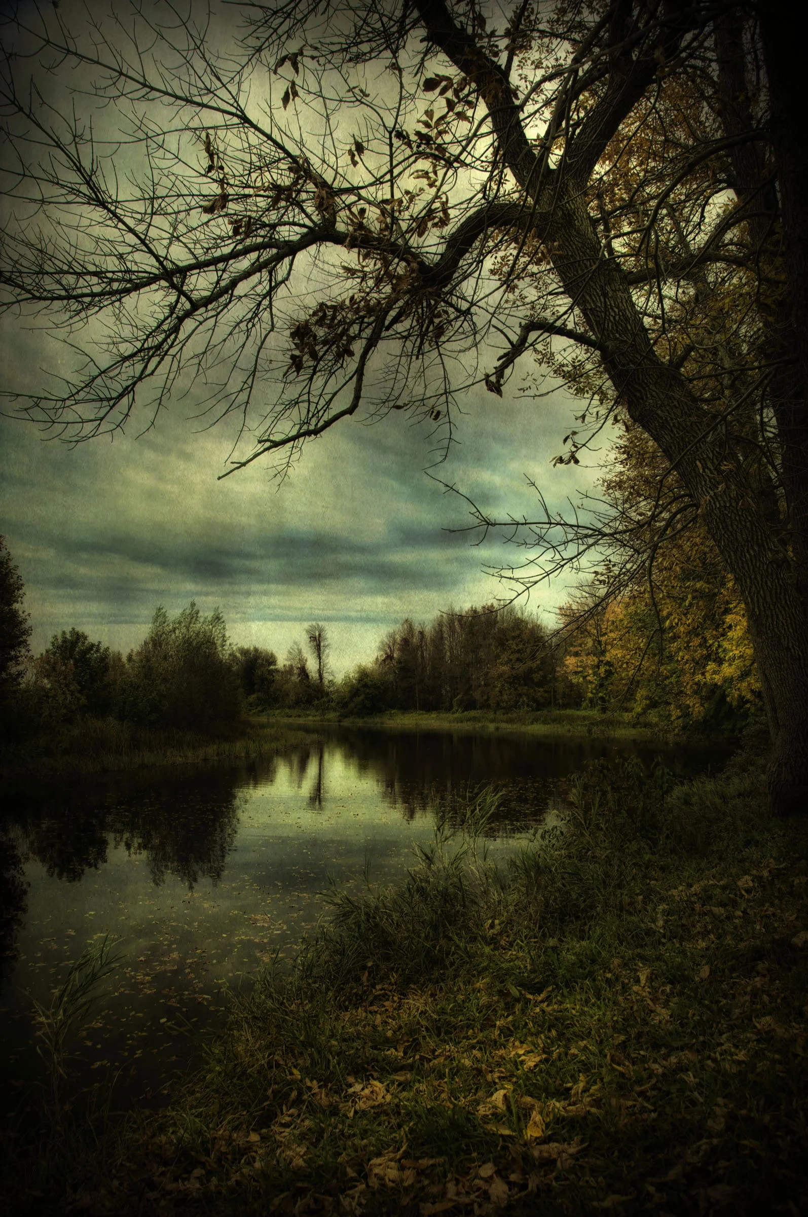 RIVER BEND