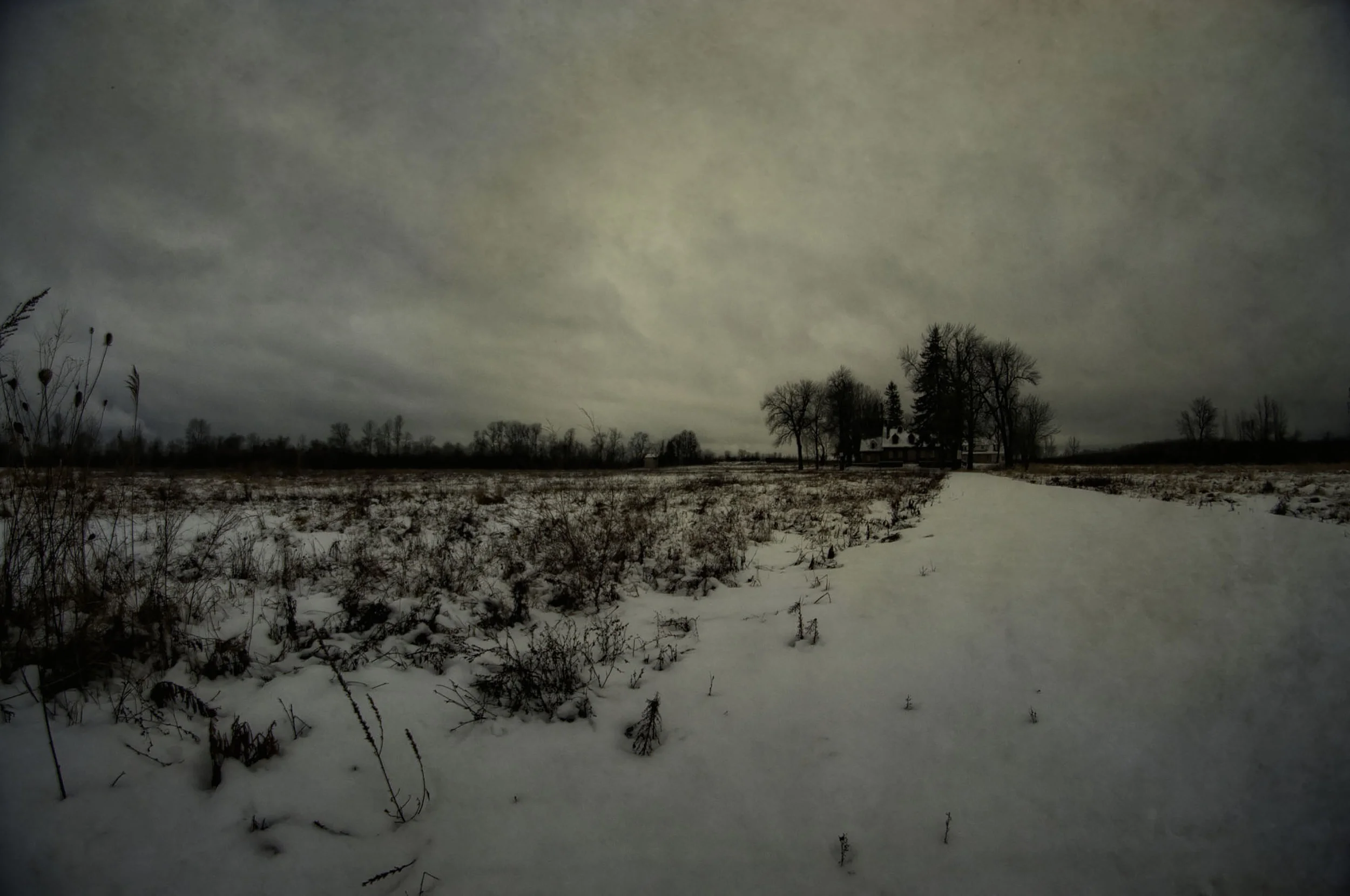 FARMSTEAD