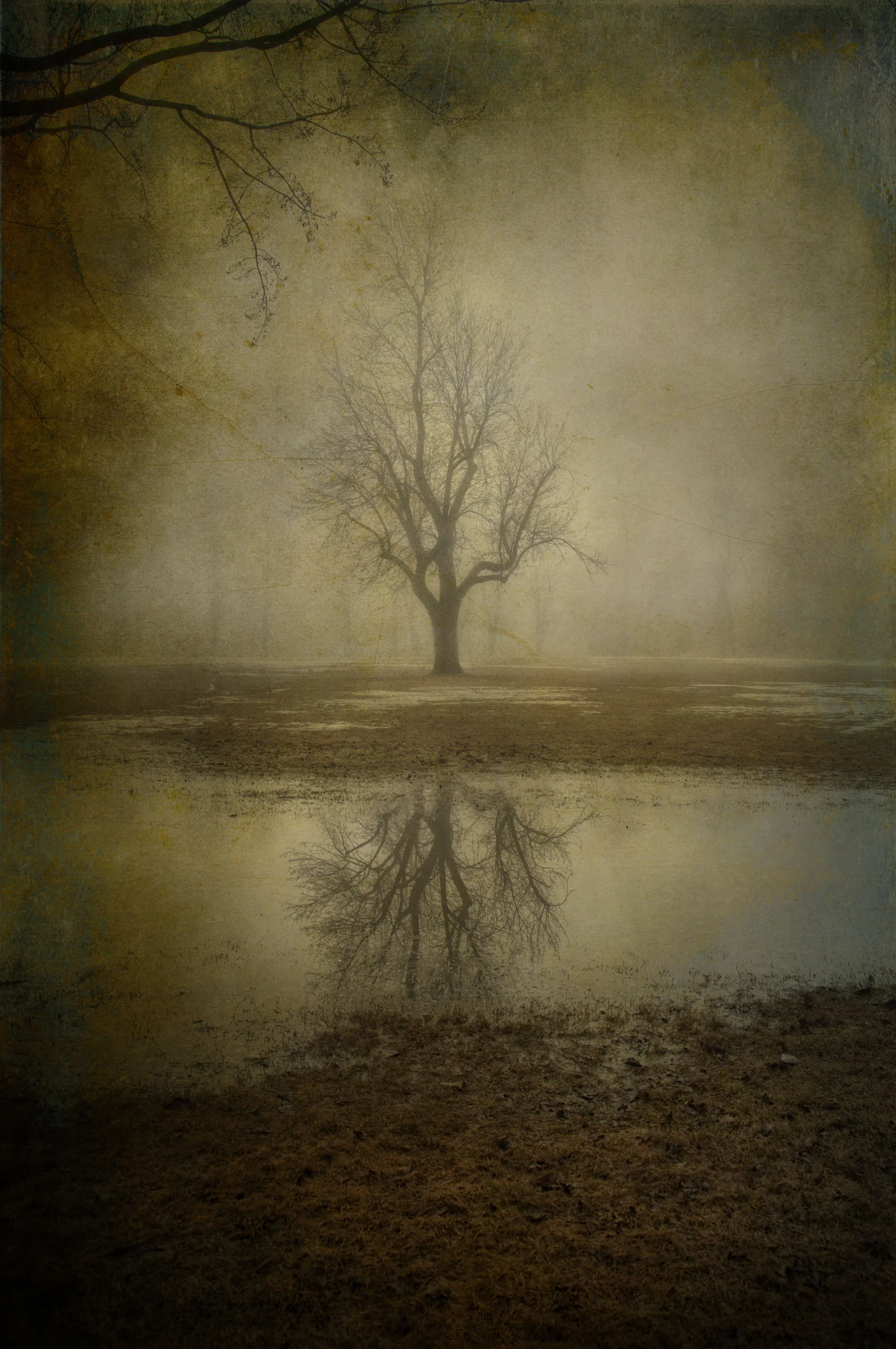 FOGGY REFLECTION