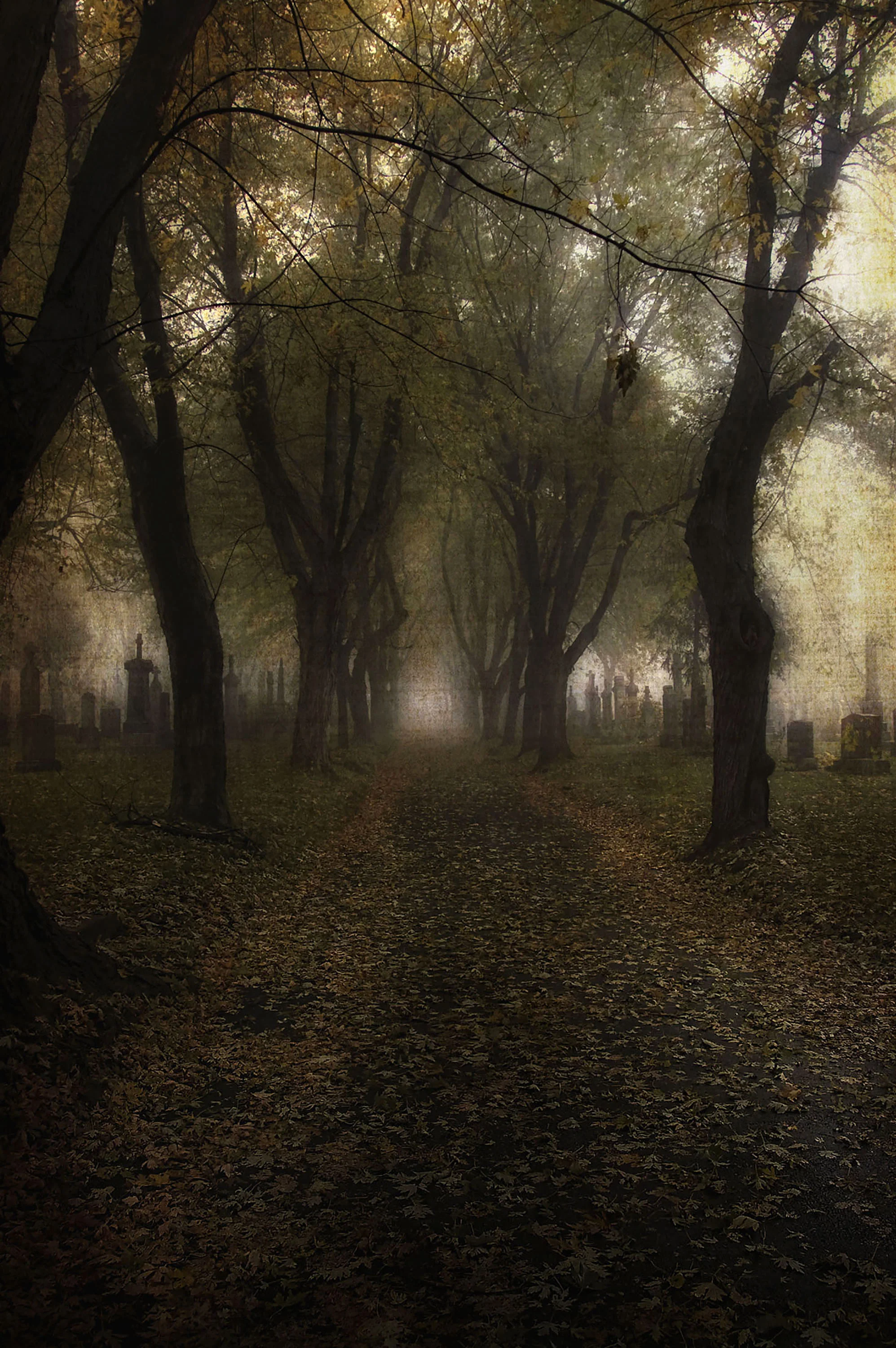 - LEAFY LANE.jpg