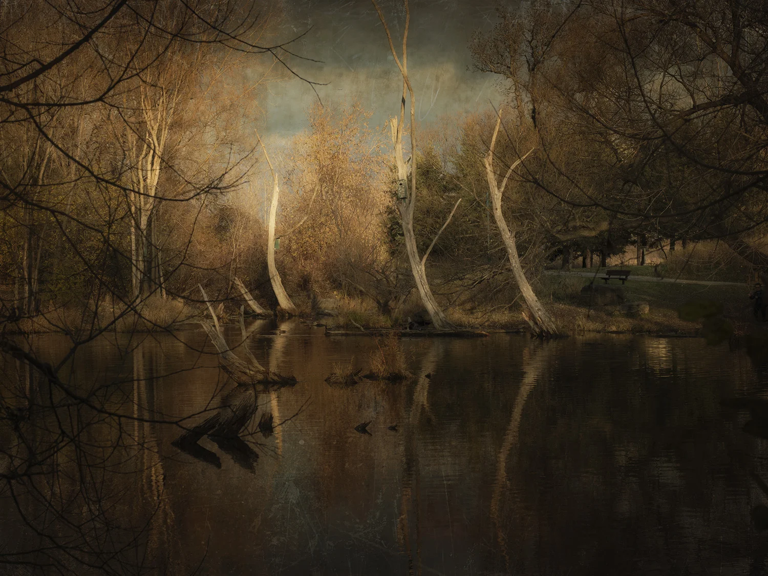 POND