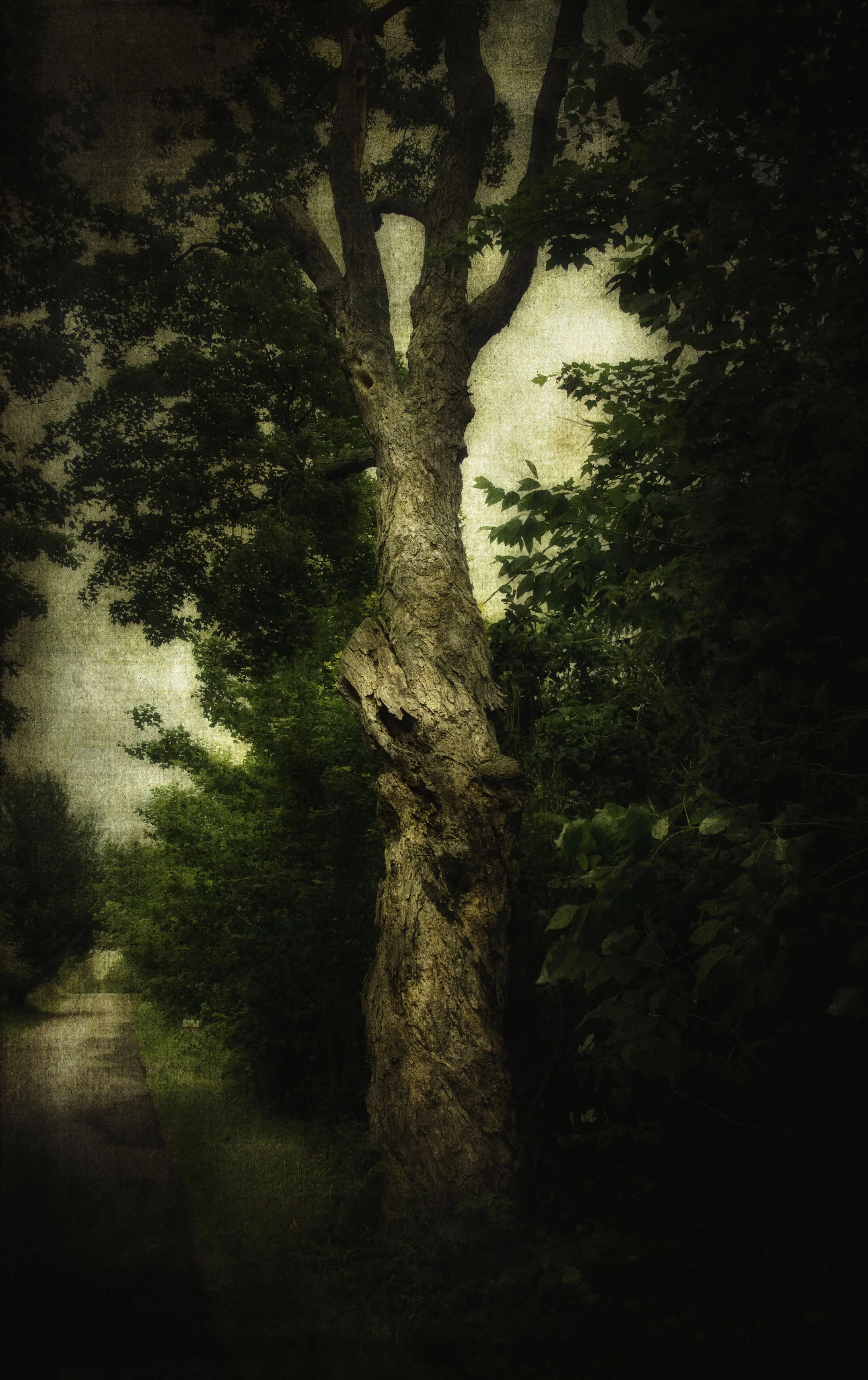 SENTINEL