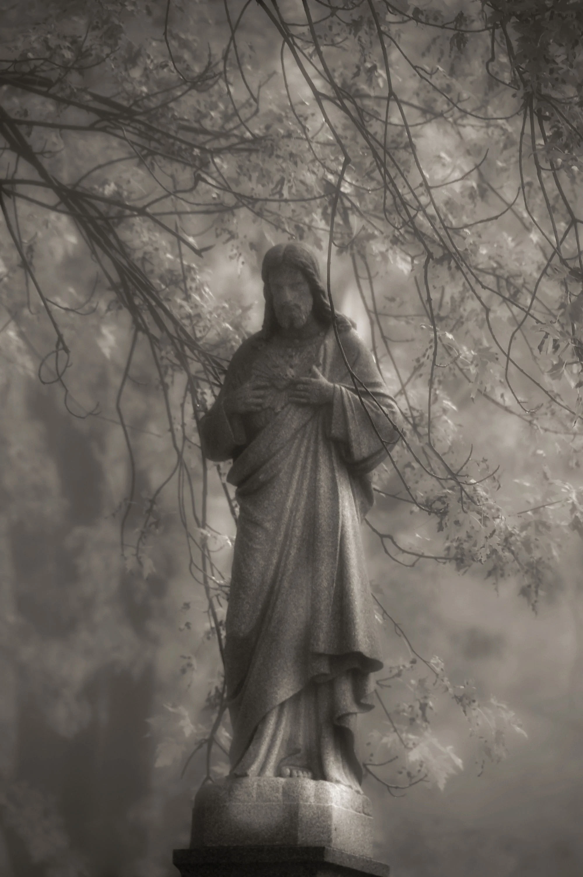 AMONG THE TREES.jpg