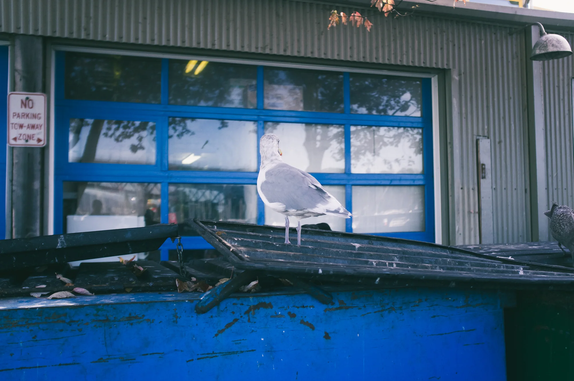 Vancouver 2 (4 of 54).jpg