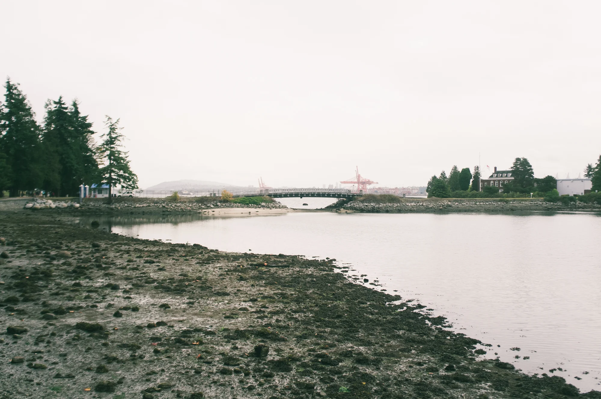Vancouver 2 (23 of 54).jpg