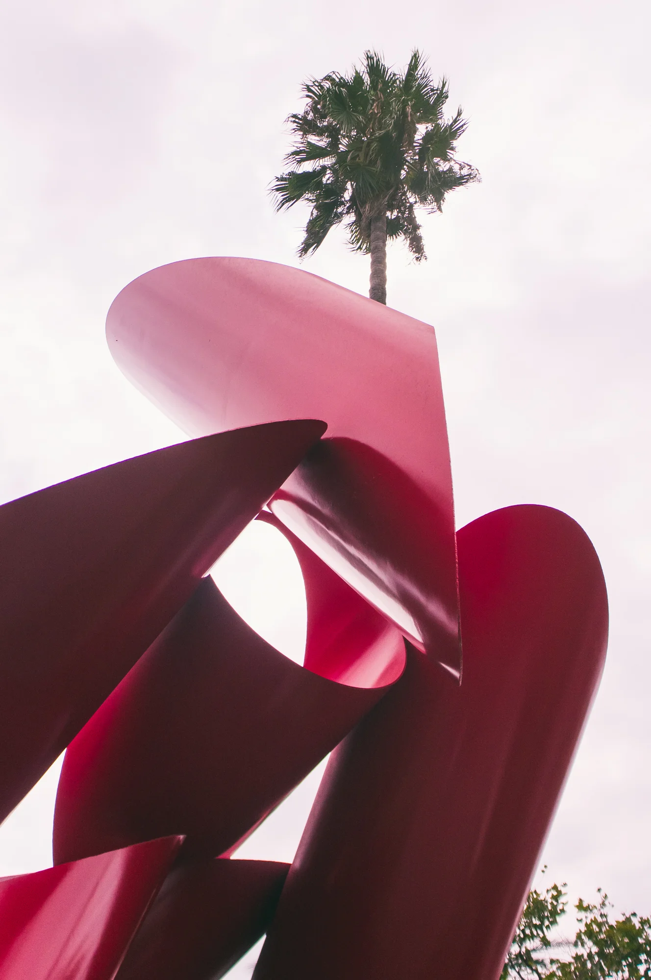 LA (1 of 6).jpg