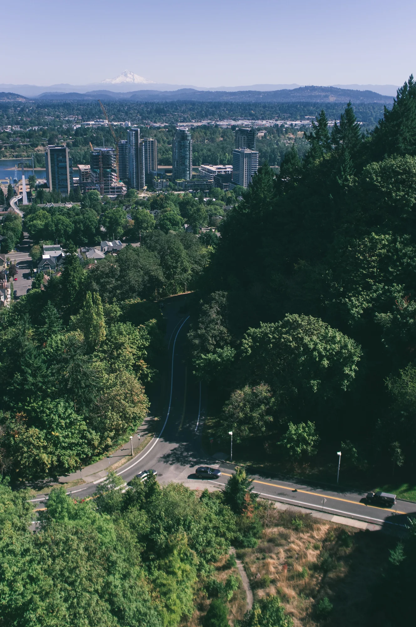 Portland (7 of 20).jpg