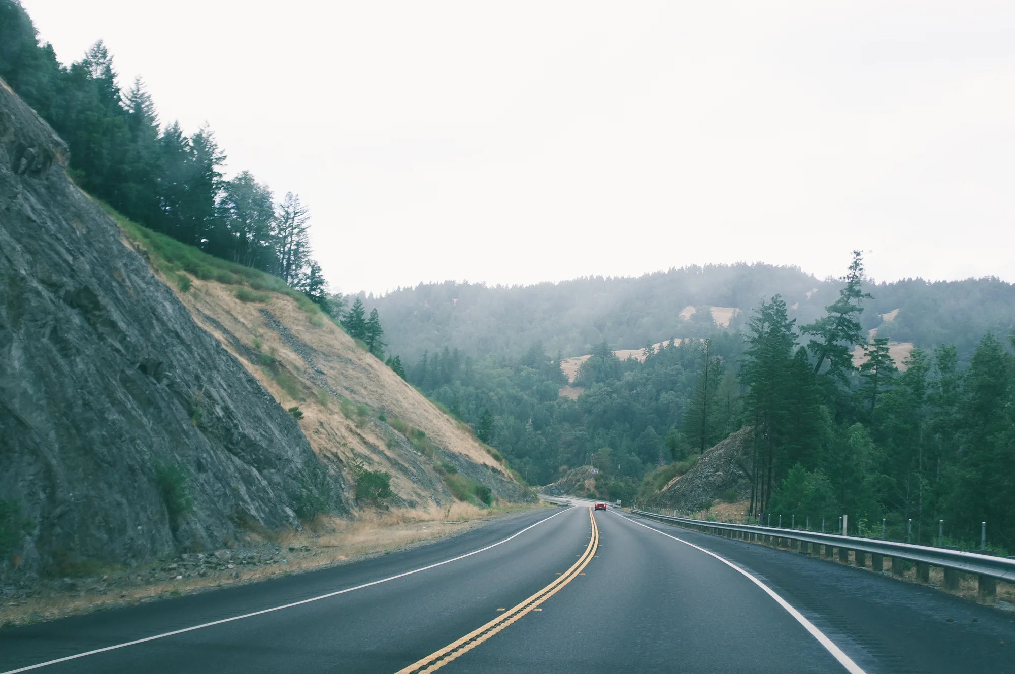 Portland (8 of 87).jpg