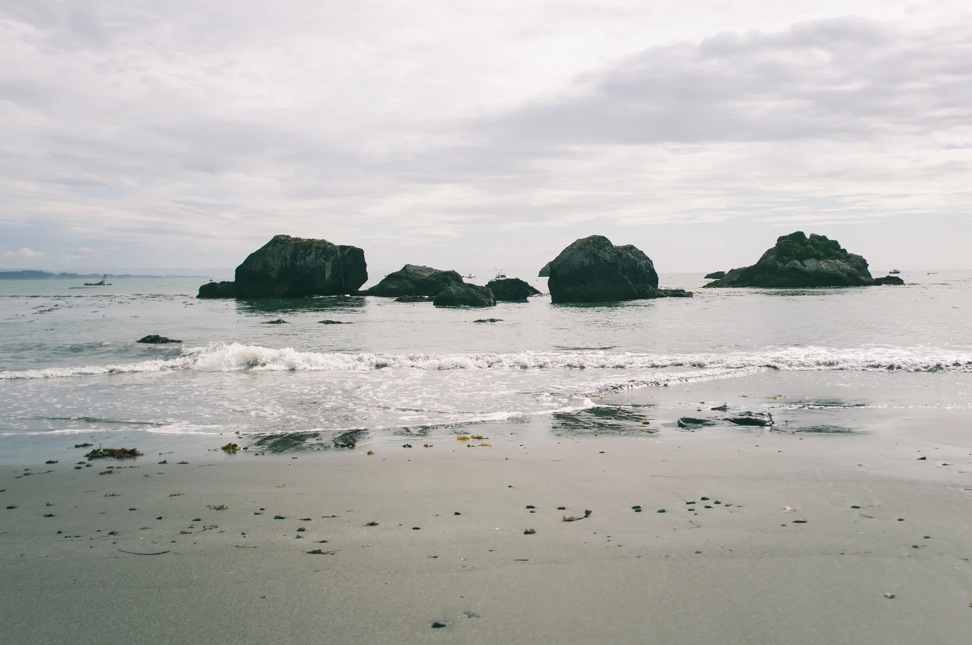 Portland (15 of 87).jpg