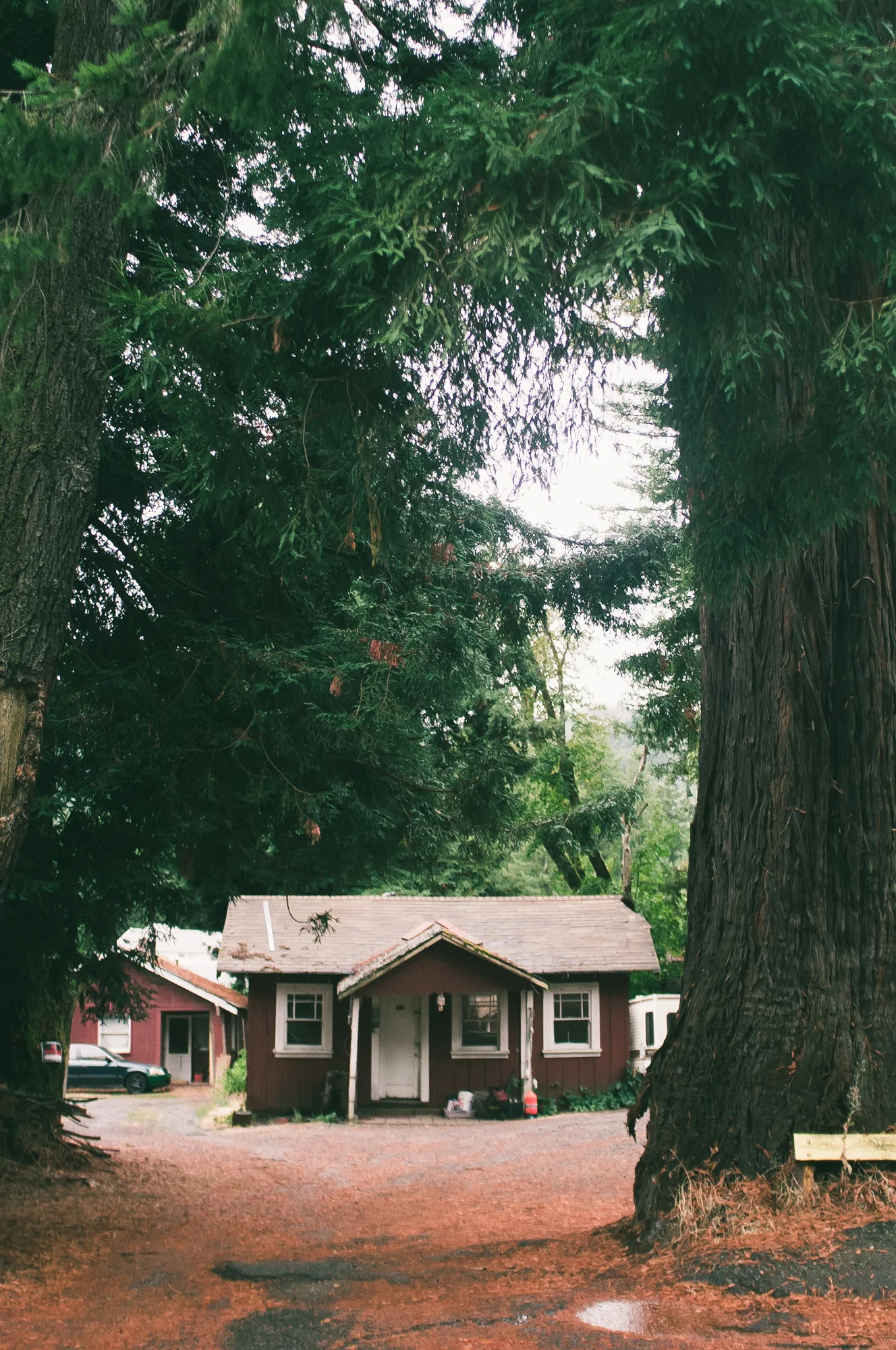 Portland (3 of 87).jpg