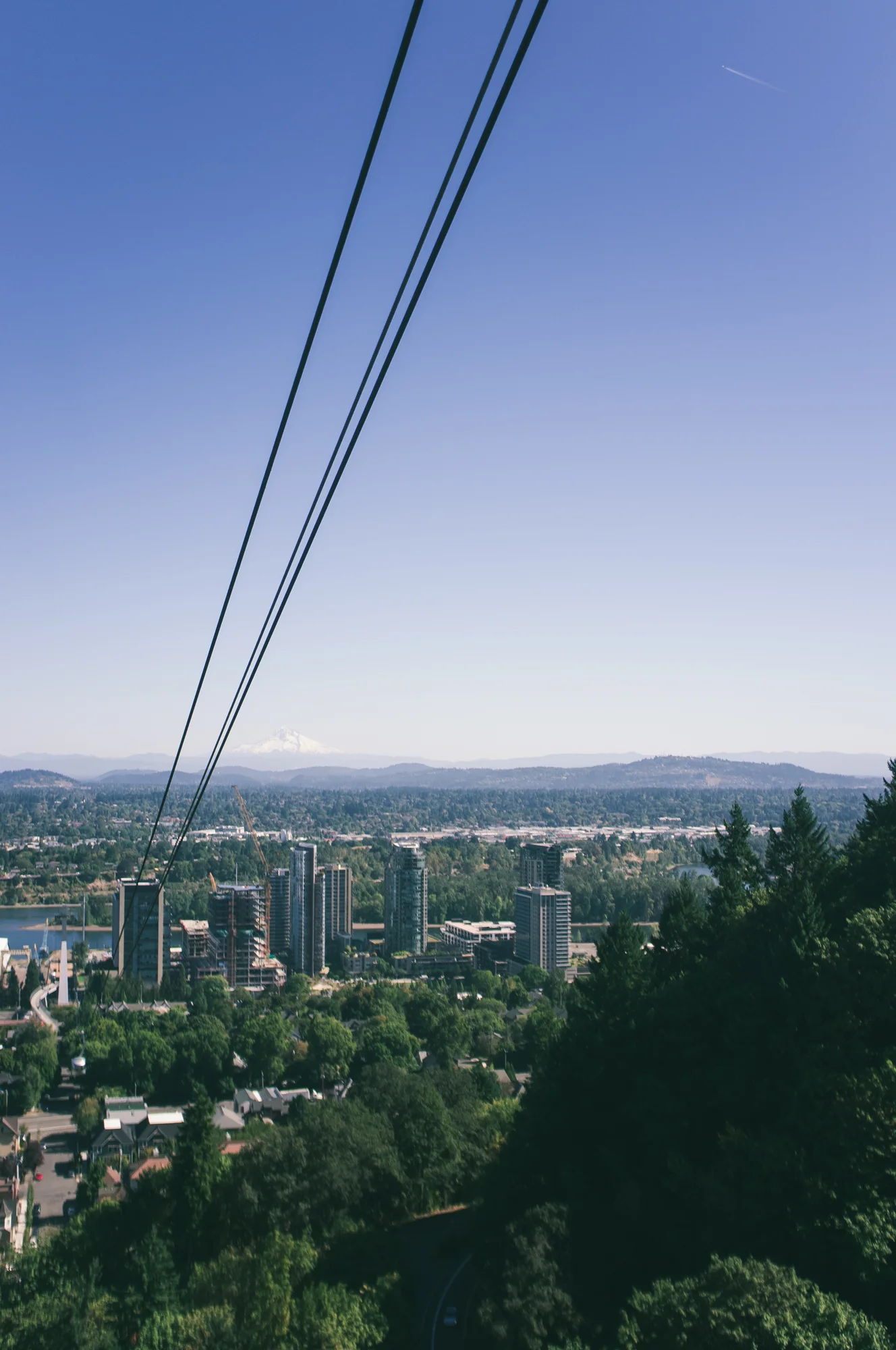 Portland (6 of 20).jpg
