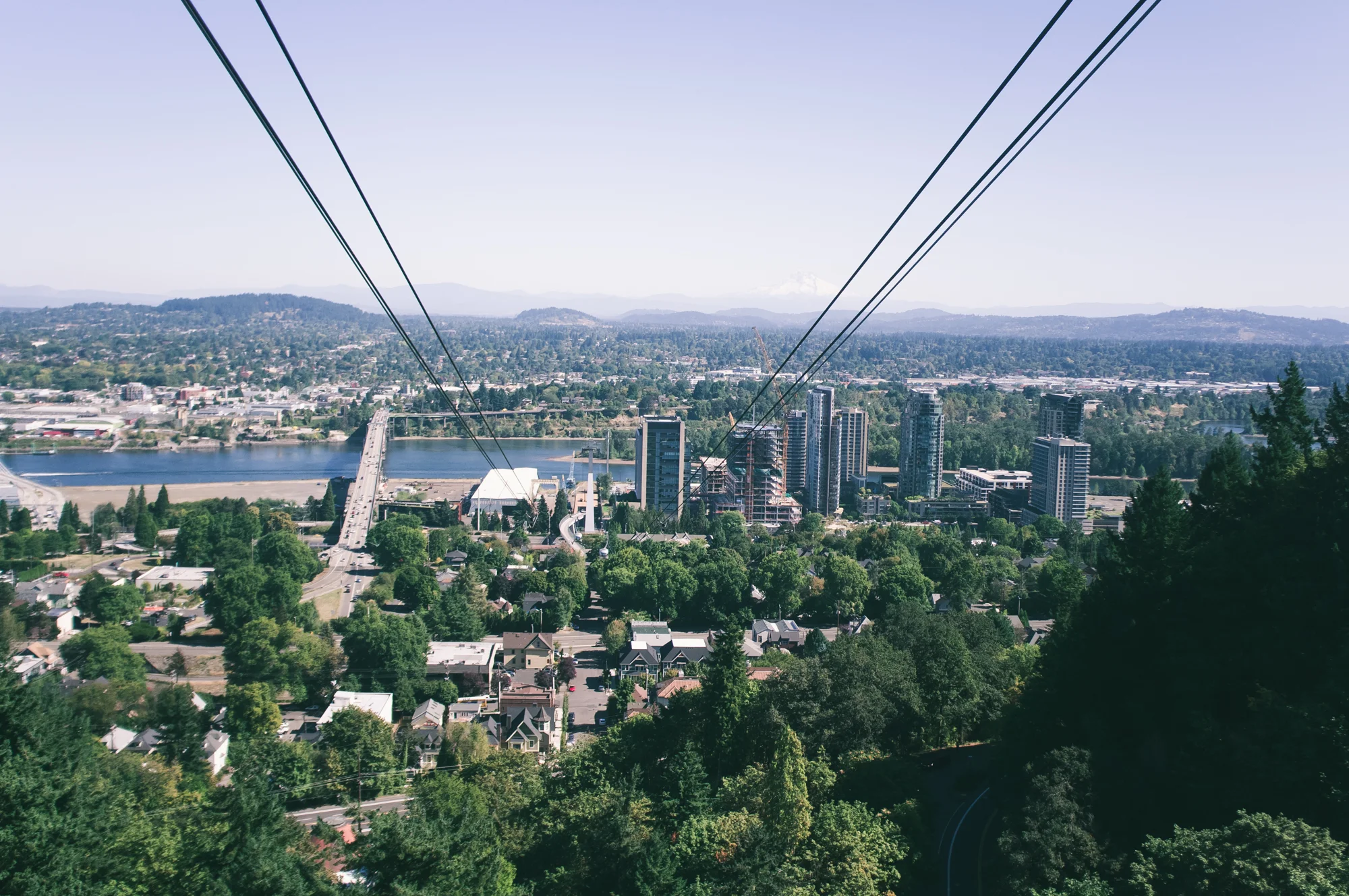 Portland (10 of 20).jpg
