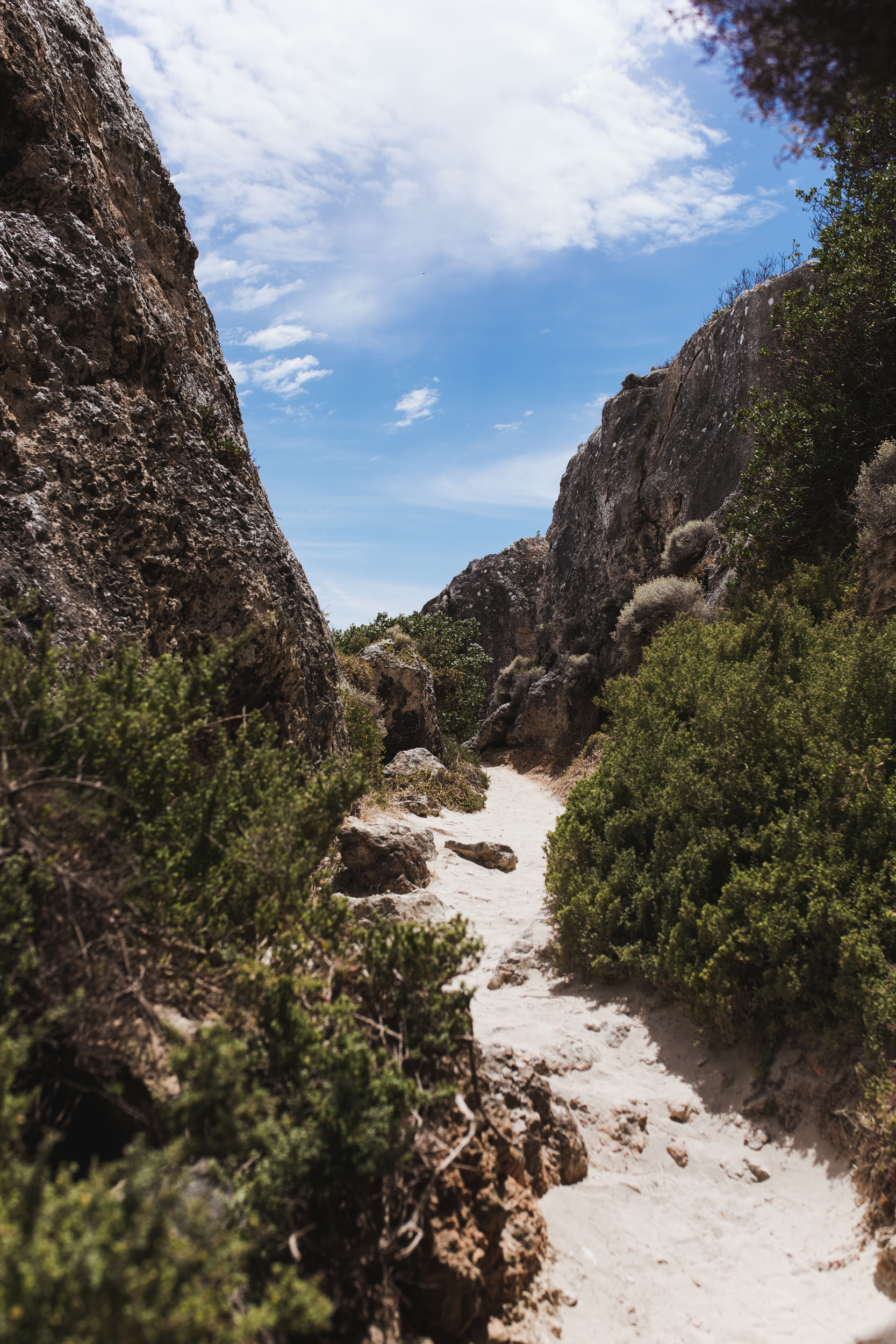 Stokes beach (7 of 51).jpg