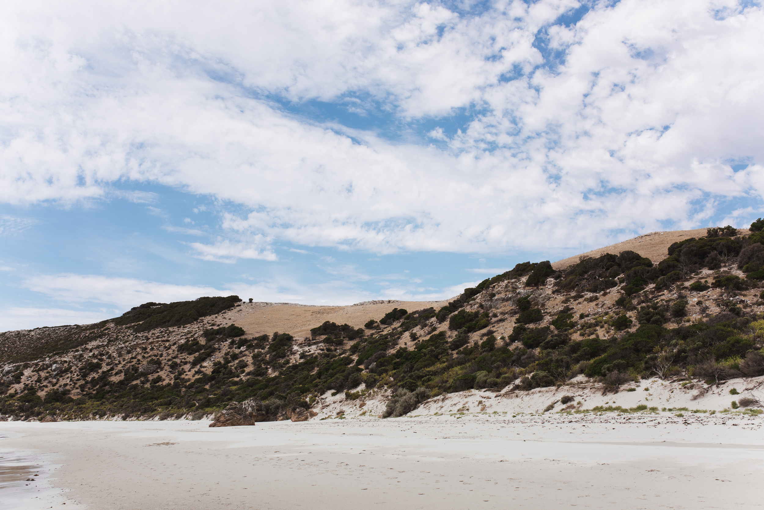 Stokes beach (47 of 51).jpg