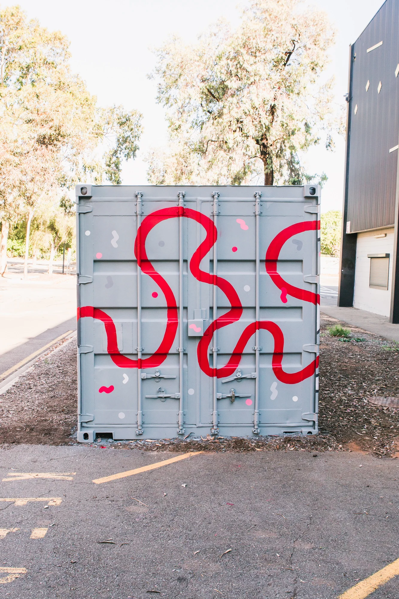 NSS Container (3 of 11).jpg