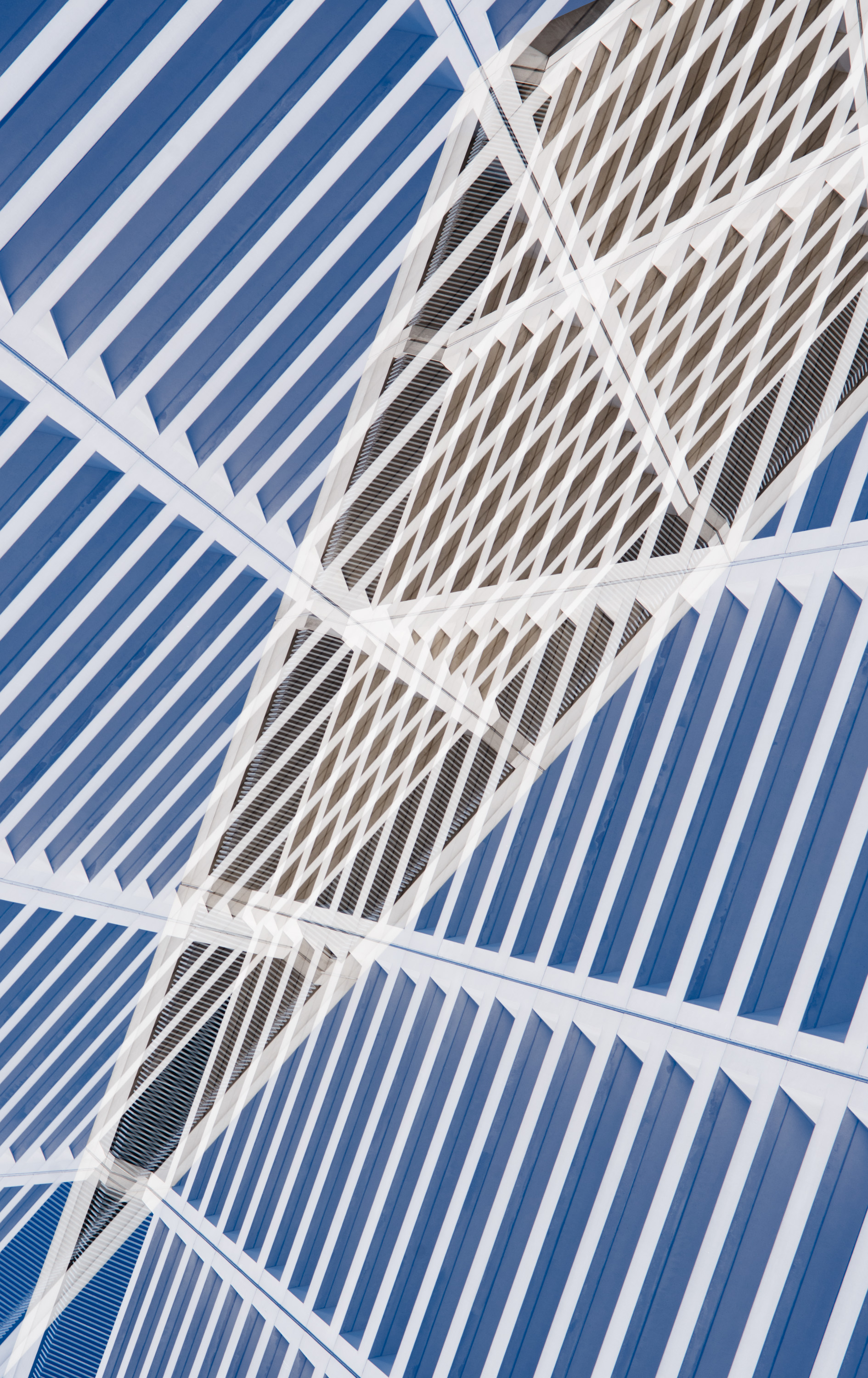 Point , 2013 Archival Pigment Print 40 x 30 inches