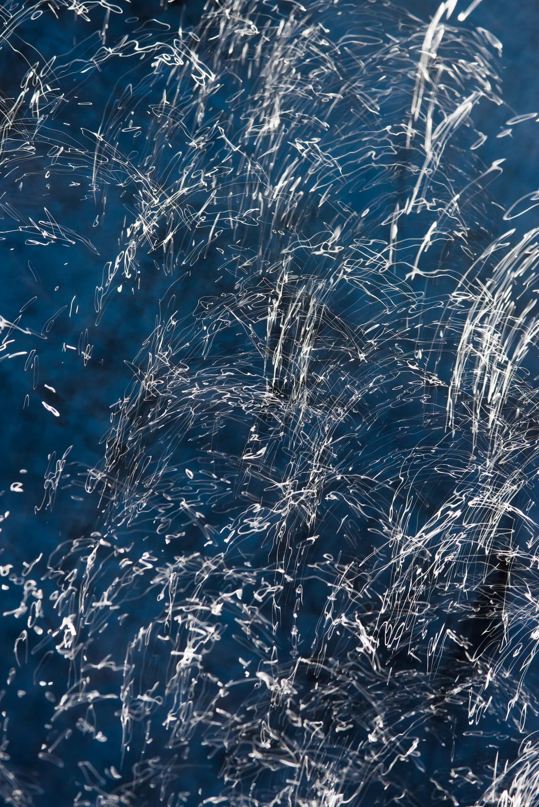 Movement in Blue and White (Sunlight), 2013 Archival Pigment Print 60 x 40 inches