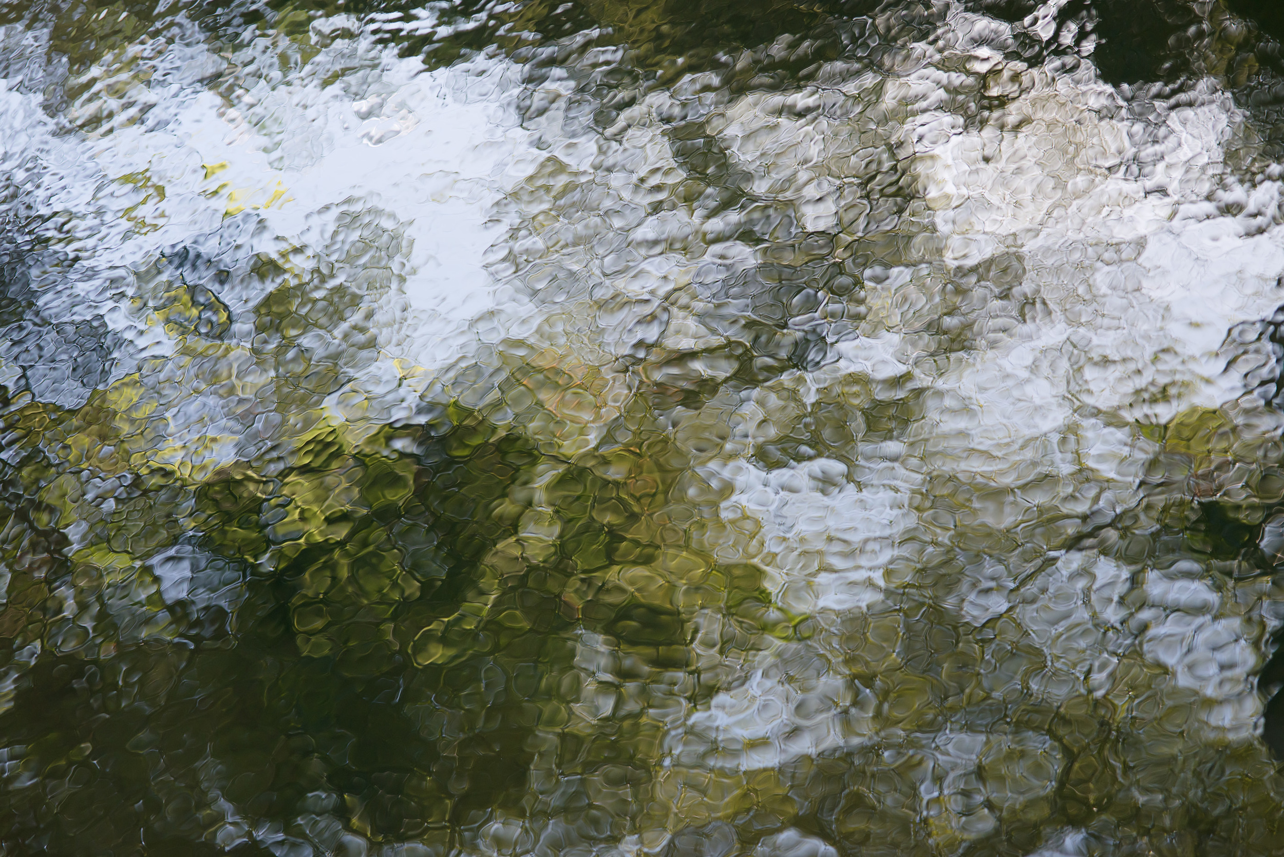   Impromptu Green and White,&nbsp; 2013 Archival Pigment Print 30 x 40 inches 