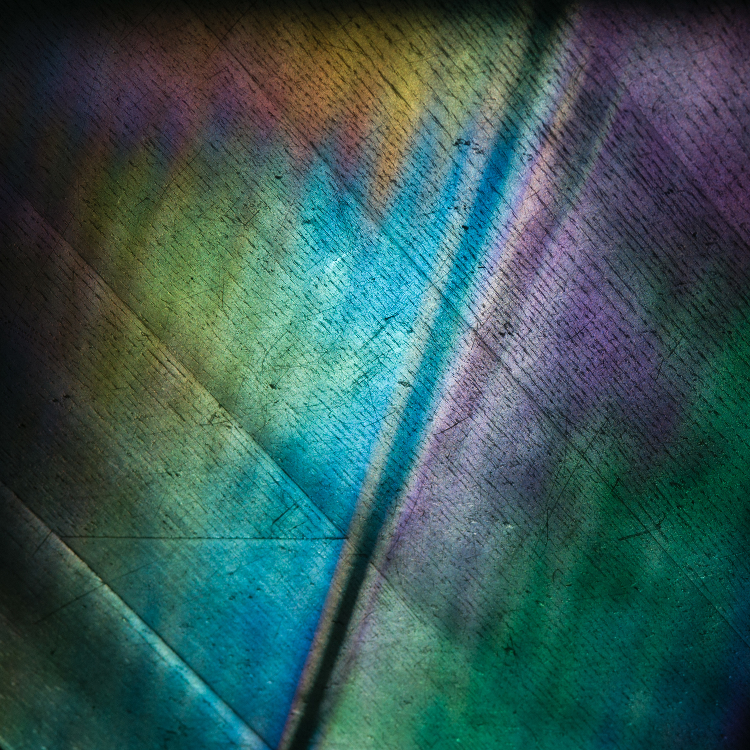 Refraction Study I, 2012 Archival pigment print 12 x 12 inches 
