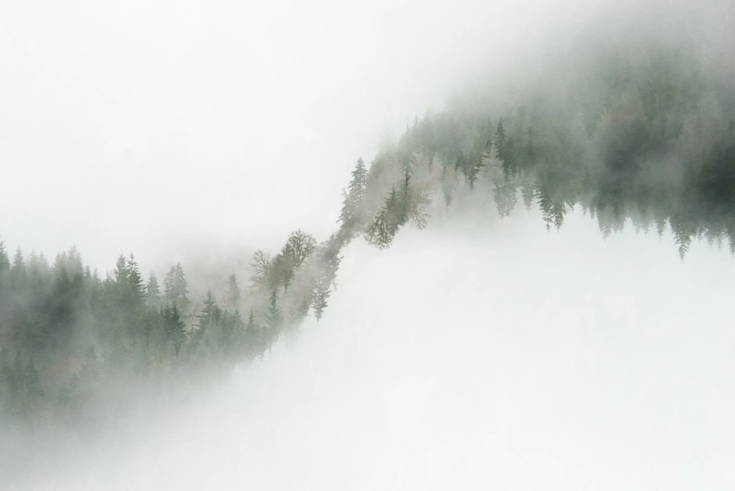 Forest River I, 2014 Archival pigment print 20x30 inches