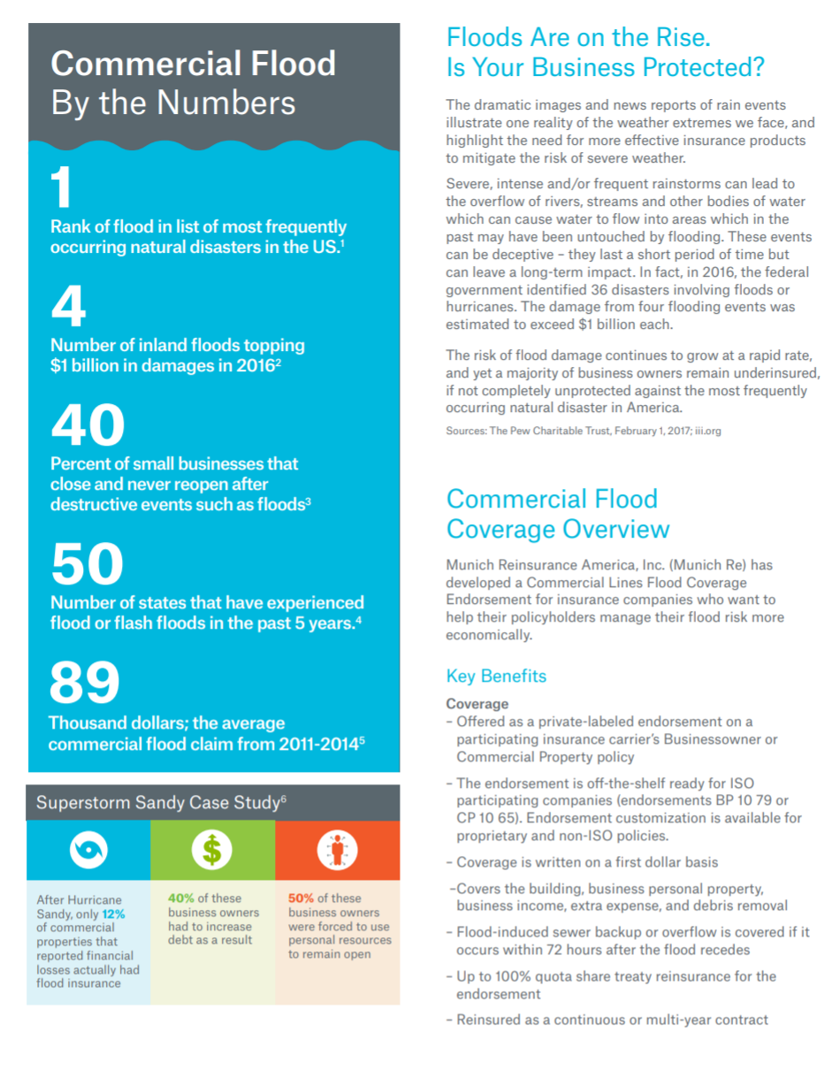 Commercial Flood by the numbers.PNG