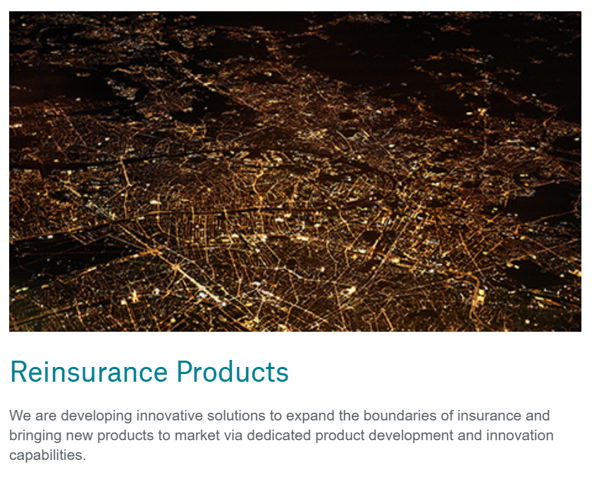 Reinsurance Products.PNG