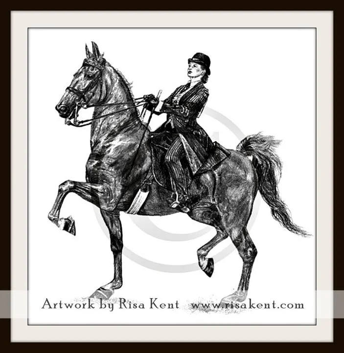 Saddlebred