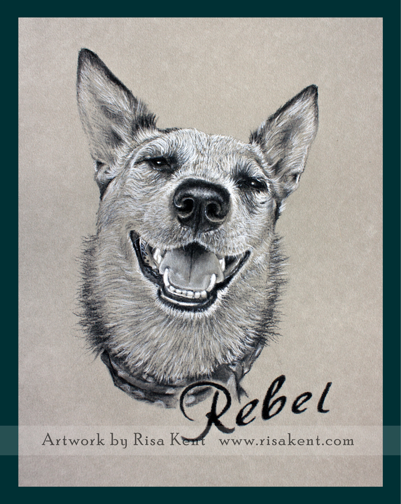 Rebel
