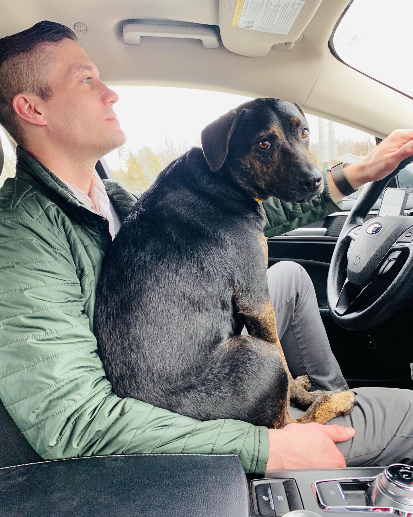 Doesn&rsquo;t everybody learn to drive by sitting on their dad&rsquo;s lap??