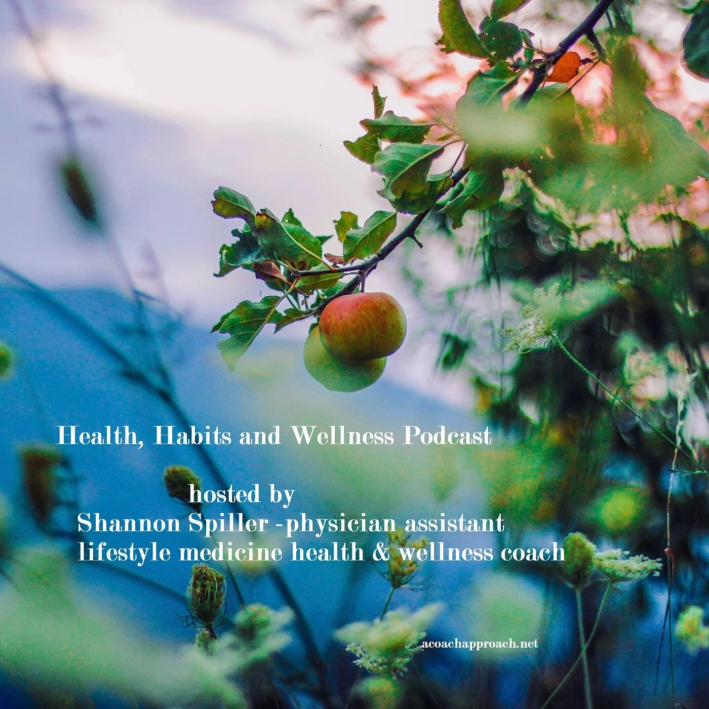 Healthy Vision episode artwork