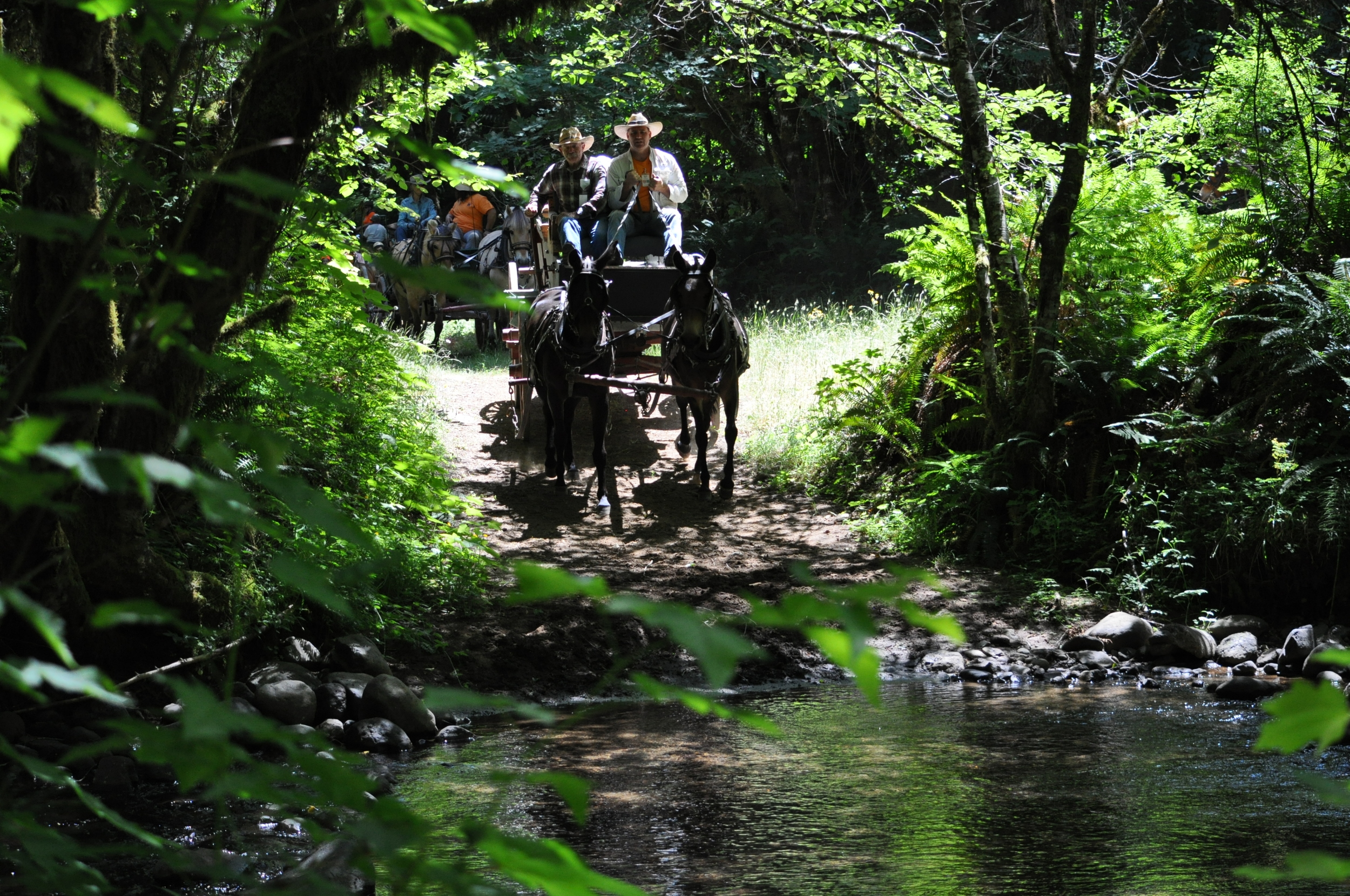 Water Crossing, don't lose your hat