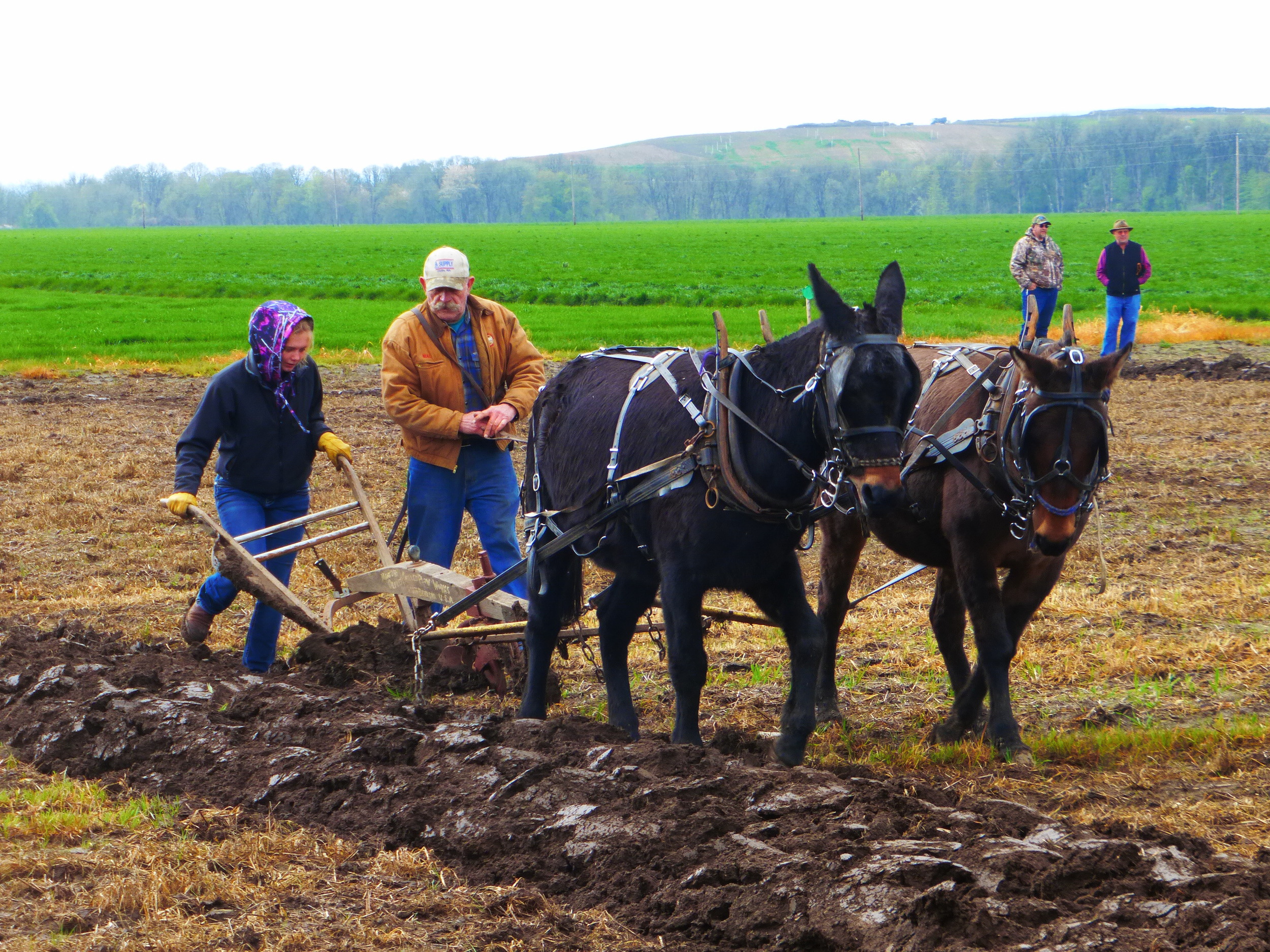 Plowing at the Heritage Center