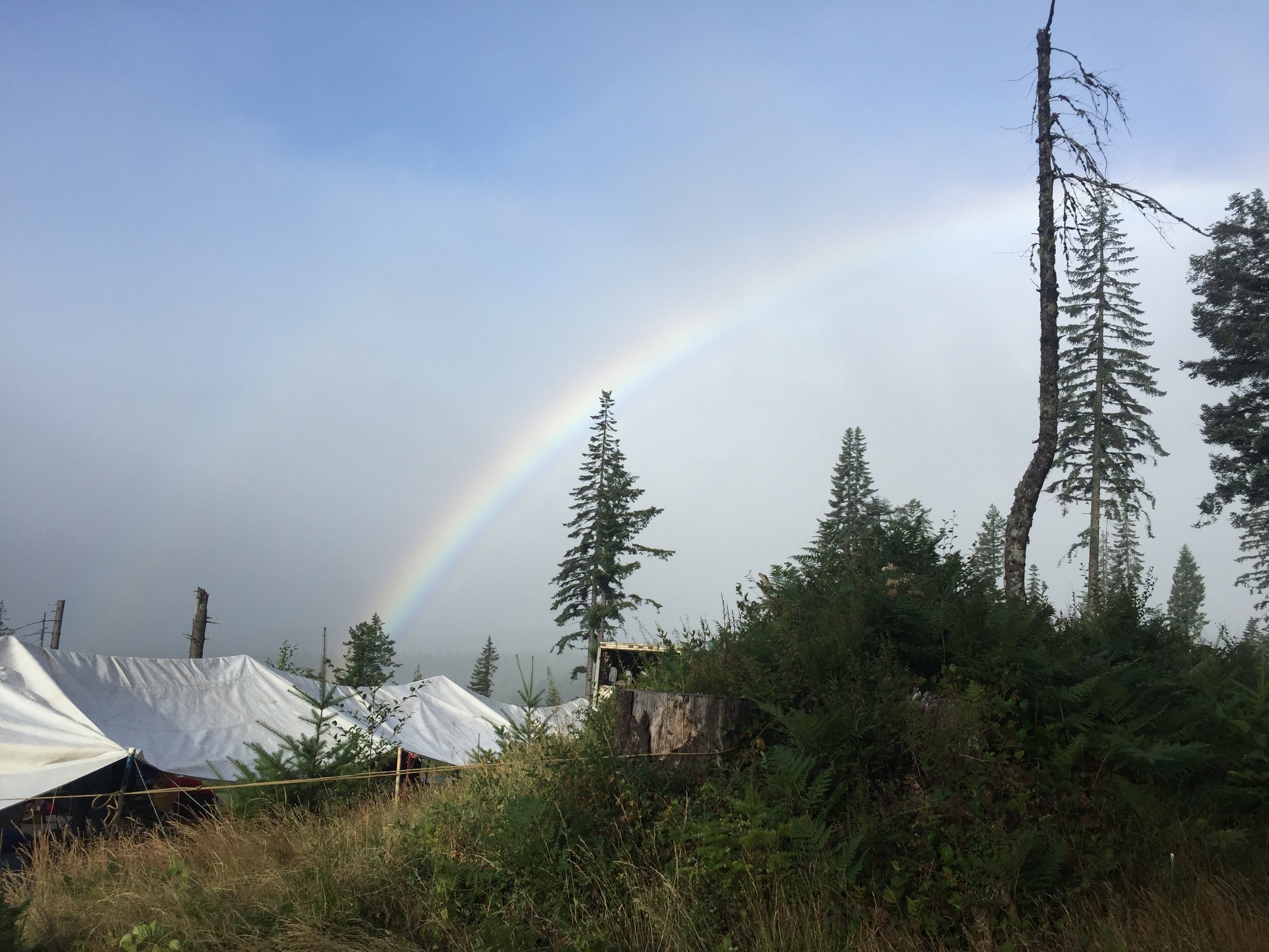 Camp, end of the Rainbow