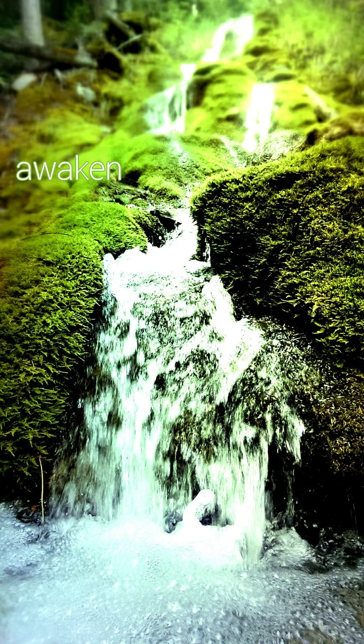 Awaken - the pretenders.jpg