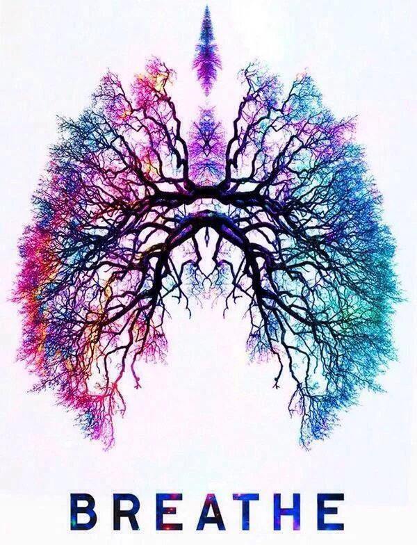 Lovely Lungs.jpg