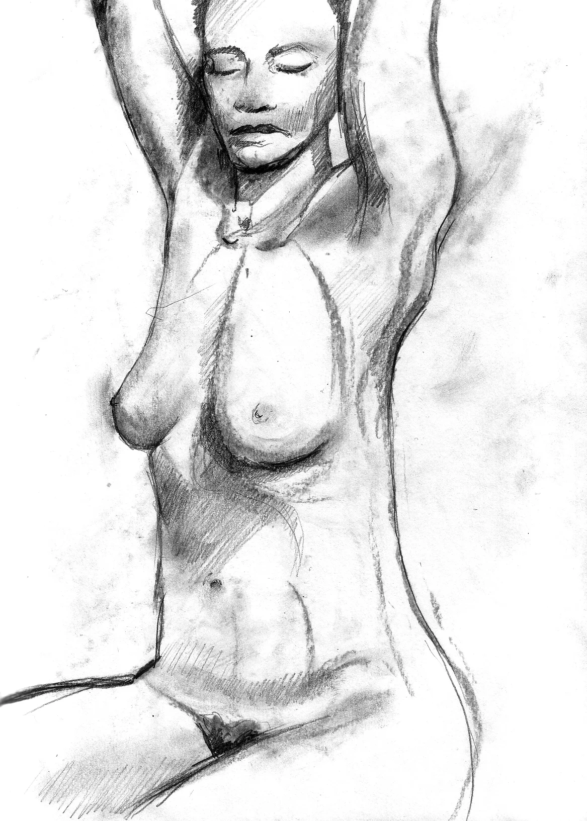 fig2.jpg