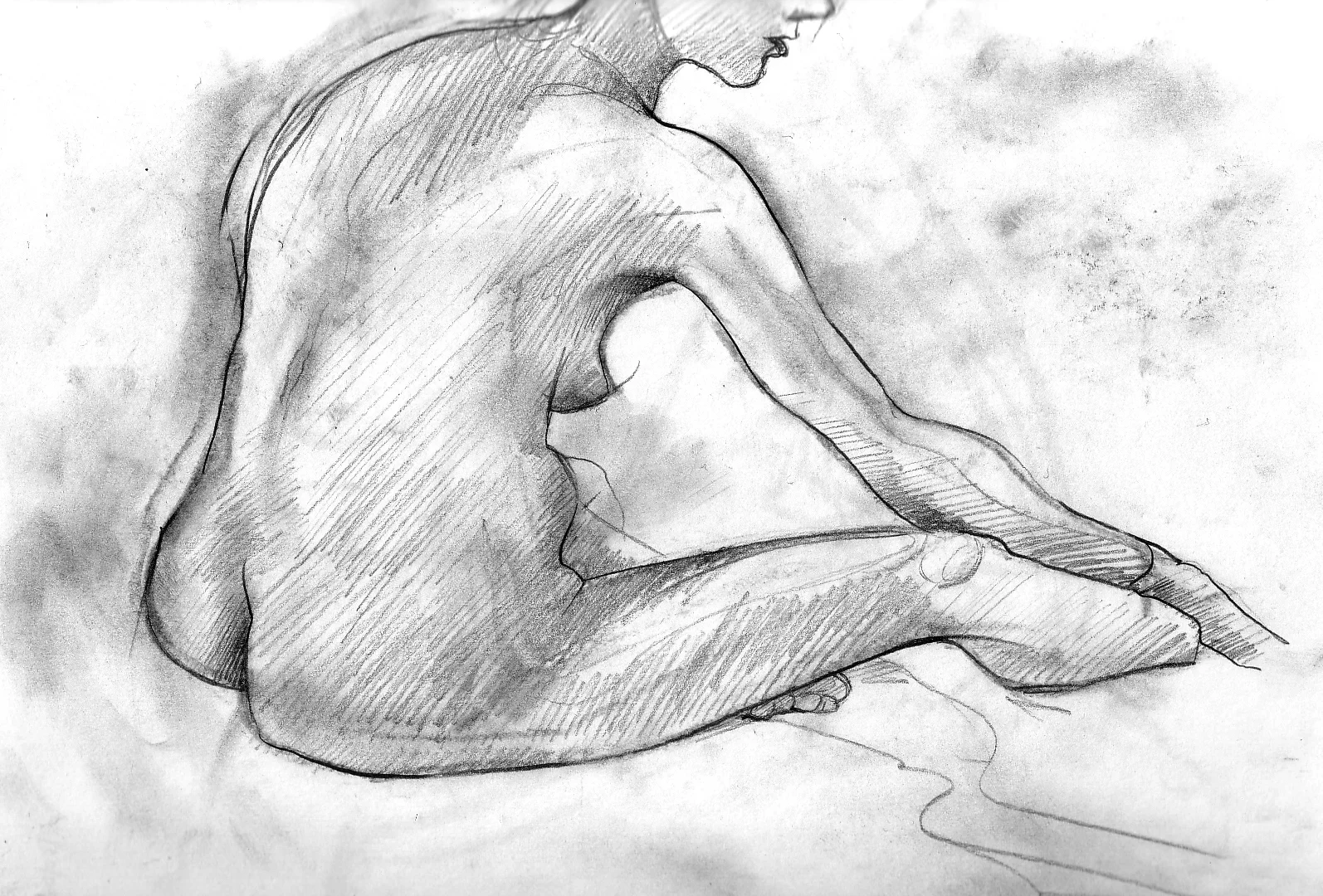 fig1.jpg