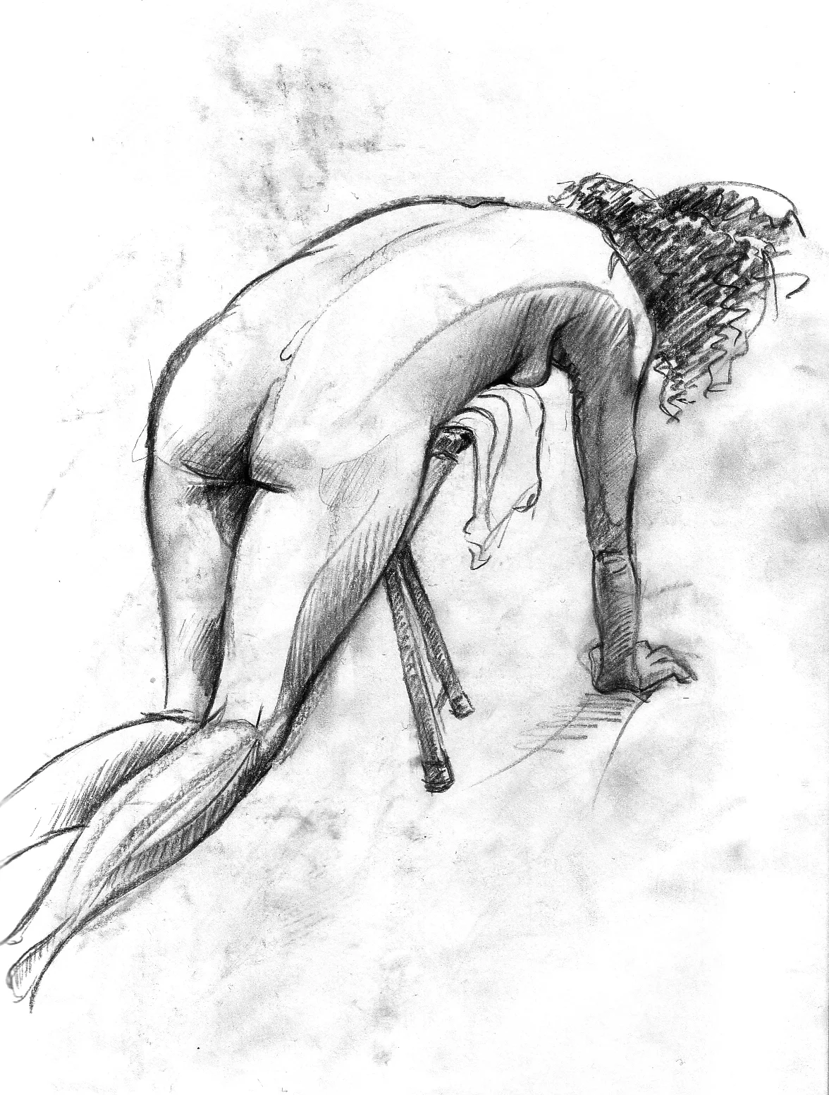 fig4.jpg