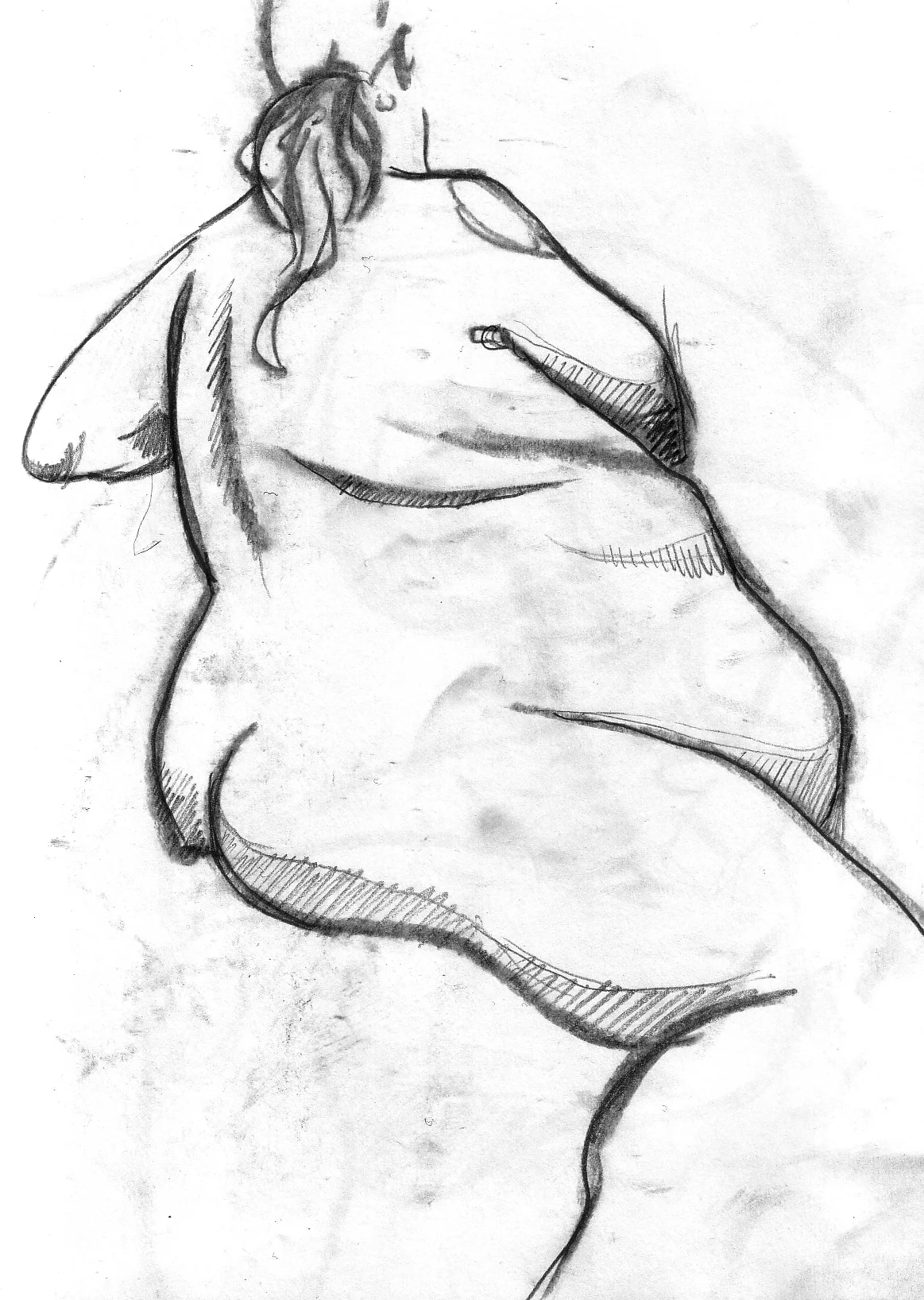 fig5.jpg