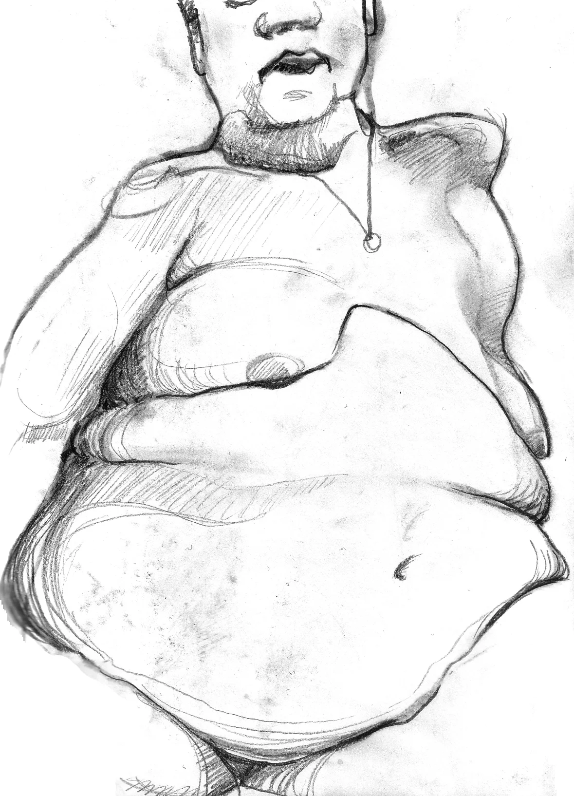 fig6.jpg