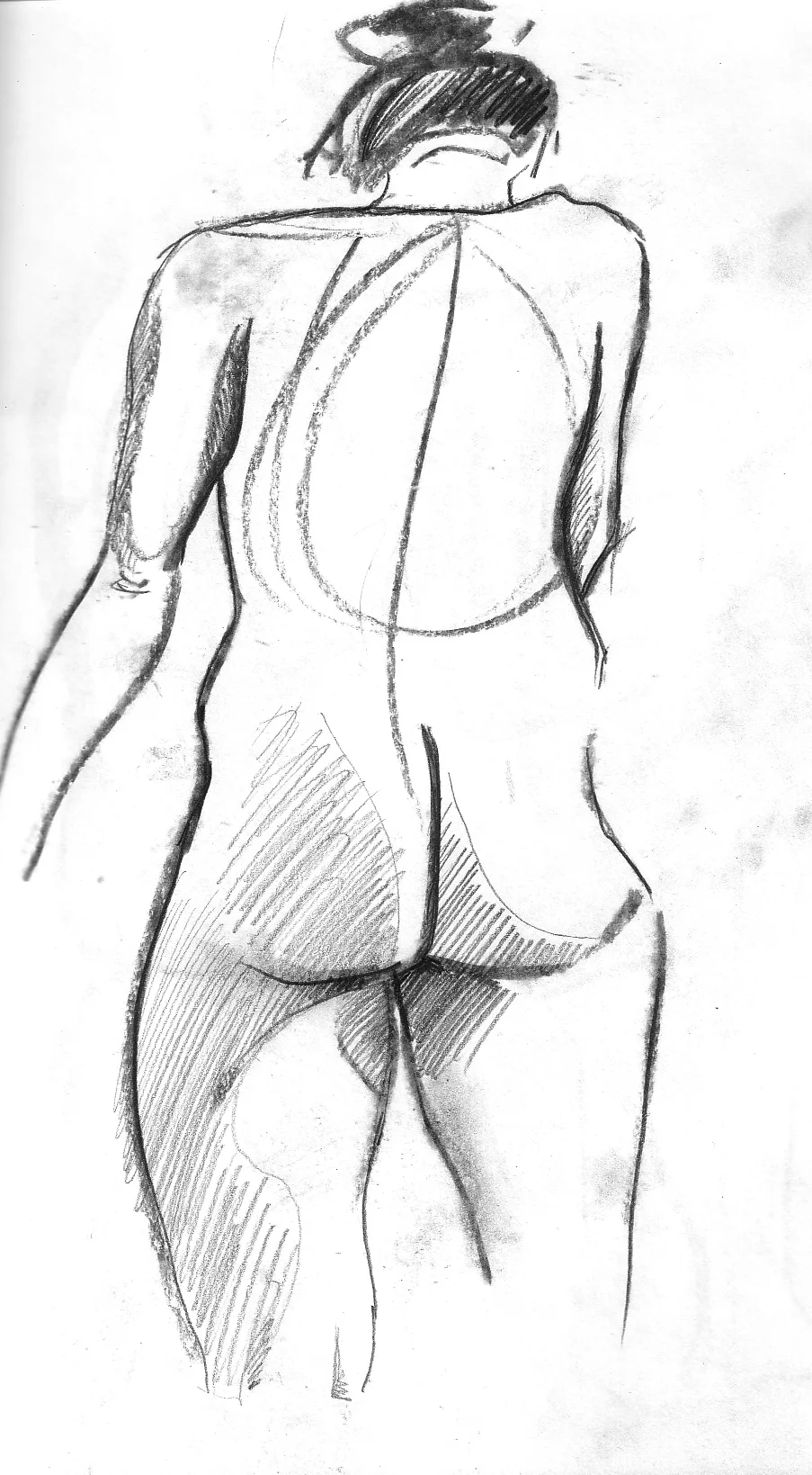 fig14.jpg