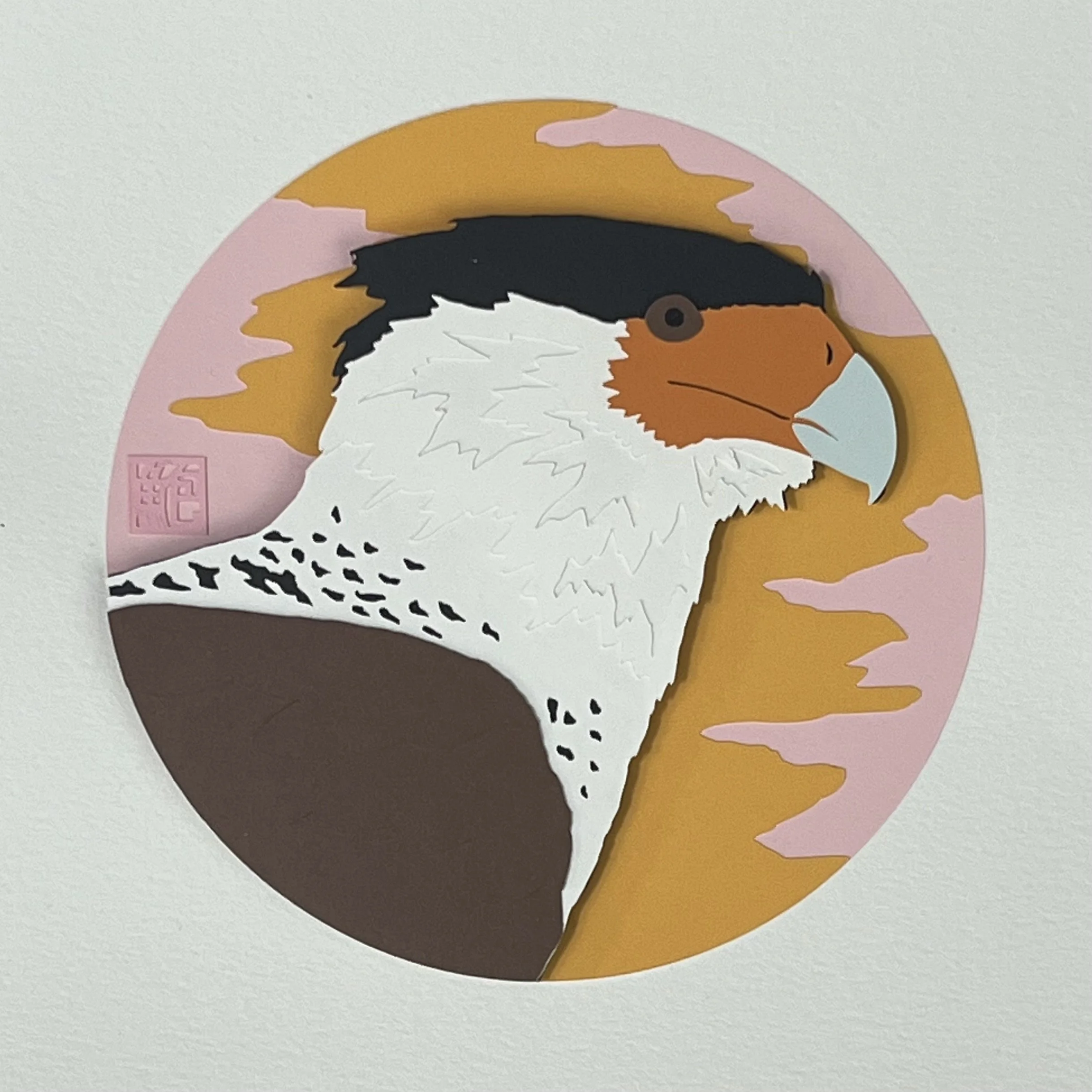 CrestedCaracara1.jpeg