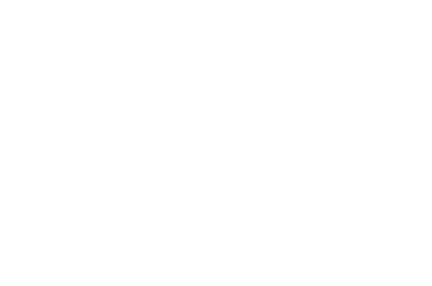 OFFICIAL SELECTION - BLACK EXCELLENCE FILM FESTIVAL - 2018.png